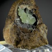 Anapaite - crystals in Fossil Clam Shell