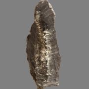 Native Lead