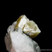 Microlite species on Albite