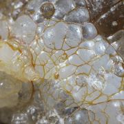 Opale / (variété - « Opal-AN ») / (variété - « Opale Hyalite ») / (« Opale vaisseau sanguin ») / Localité - San Luis Potosi, Mexique