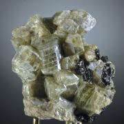 Diopside, Biotite