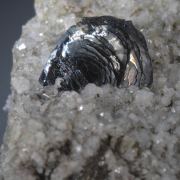 Hematite (iron Rose) on Adularia