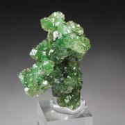 gem GARNET var. GROSSULAR with GREEN CHROMIAN PHANTOMS, CHROMITE