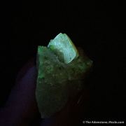 Fresnoite on Analcime