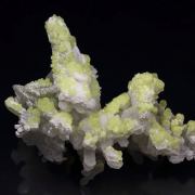 SALAMMONIAC, SULPHUR