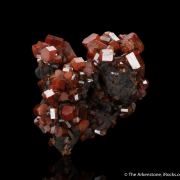 Vanadinite on Coronadite