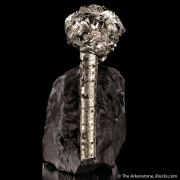 Pyrite on Pyrite ps. Baculites yokayamai