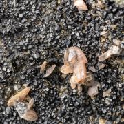 Titanite with Melanite