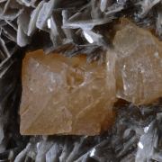 Scheelite on Muscovite