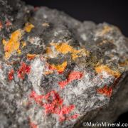 Realgar and Orpiment replacing fossil coral