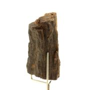 Petrified wood. 300.0 ct.