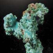 Rosasite on Malachite-  
