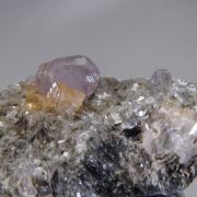 Fluorapatite and Scheelitte on Muscovite