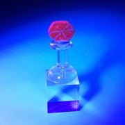 CORUNDUM var. RUBY - TRAPICHE