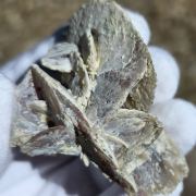 Quartz ( pseudomorph of Gypsum )