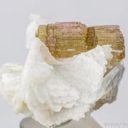 Tourmaline on Albite