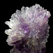 Amethyst / Amethystflower – Irai, Rio Grande do Sul, Brazil
