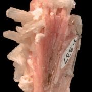 Serandite with Natrolite and Elpidite