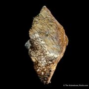 Rutile ps. Anatase