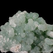 Prehnite with Thaumasite