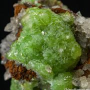 Cuprian Adamite