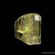 Richterite var. Winchite (superb TN)