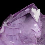 Fluorite with Calcite