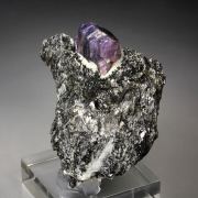 bi-color CORUNDUM var. RUBY, MUSCOVITE