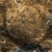 Arseniosiderite