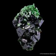 Cuprian Adamite on Zincolivenite