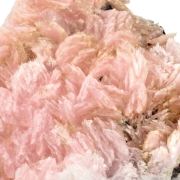 Schizolite & Aegirine