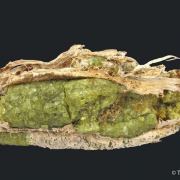 Andradite Garnet var. Demantoid, with Chrysotile