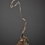 Silver (crystallized wire with 