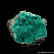 Chalcophyllite (Illustrated)