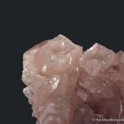 Pink Fluorapophyllite-(K)