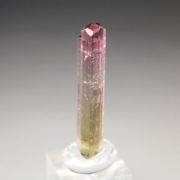 gem TOURMALINE var. ELBAITE bi-color
