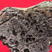 Almeidaite (type locality)