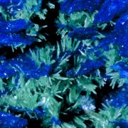 Olivenite, Conichalcite and Azurite