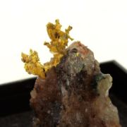 Native Gold. 11.80 ct.