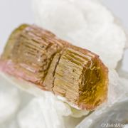 Tourmaline on Albite