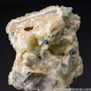 Paravauxite, Vauxite on Wavellite