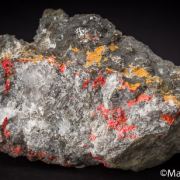 Realgar and Orpiment replacing fossil coral