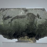 Apatite (Fluorapatite) with Actinolite inclusions
