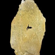 Baryte PORTAL POCKET
