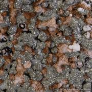 Kutnohorite with Pyrite