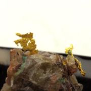 Native Gold. 9.95 ct.