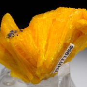 Legrandite
