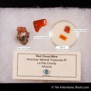 Wulfenite (Rough & Cut set)