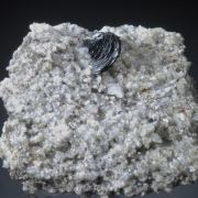 Hematite (iron Rose) on Adularia