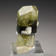 gem TOURMALINE var. ELBAITE, ALBITE